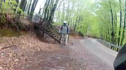 forest-out-of-sile---wi-fi