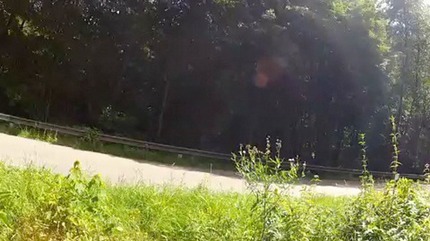 pfalz-region---germany---wi